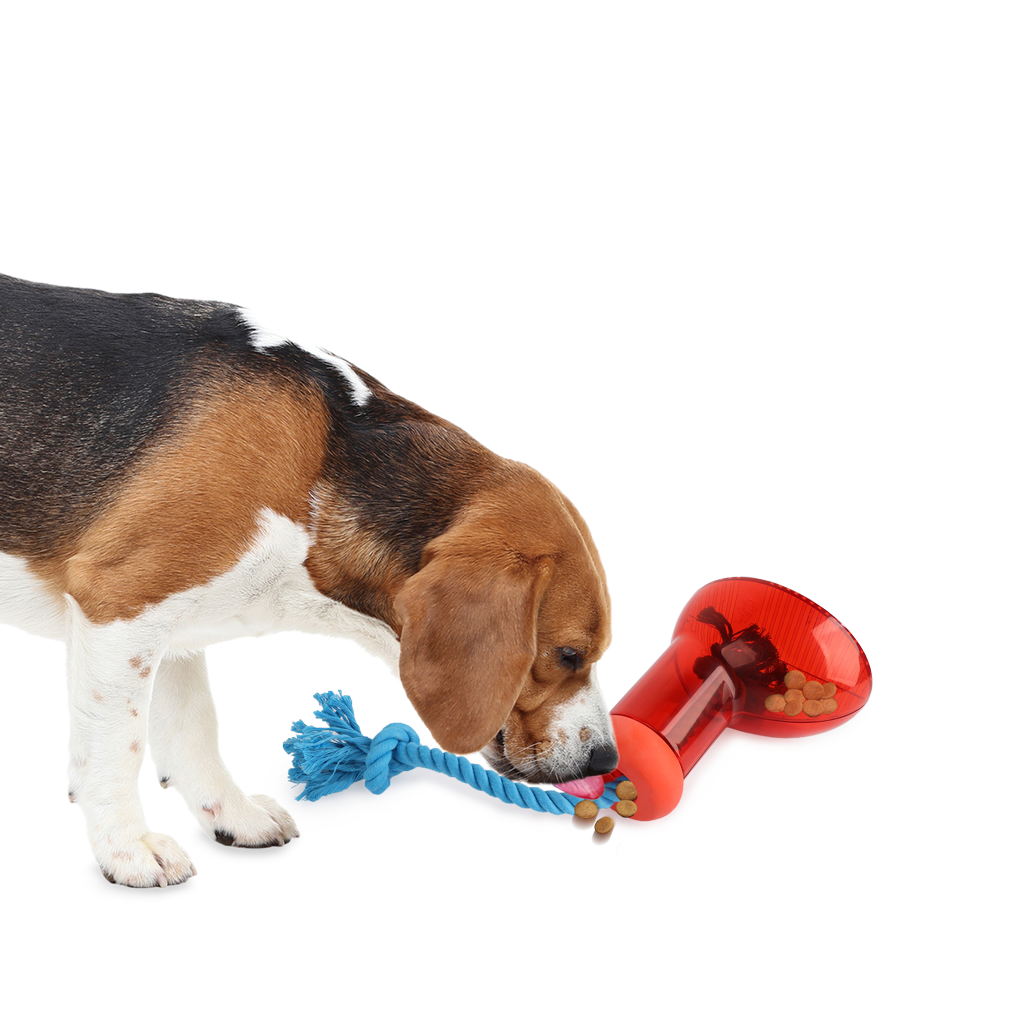 AFP Doggies' Shoes Big Boot Dispenser