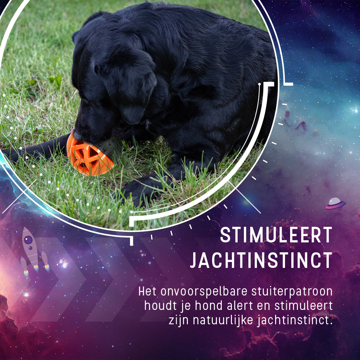 Dog Comets Moonstone Traktatiebal