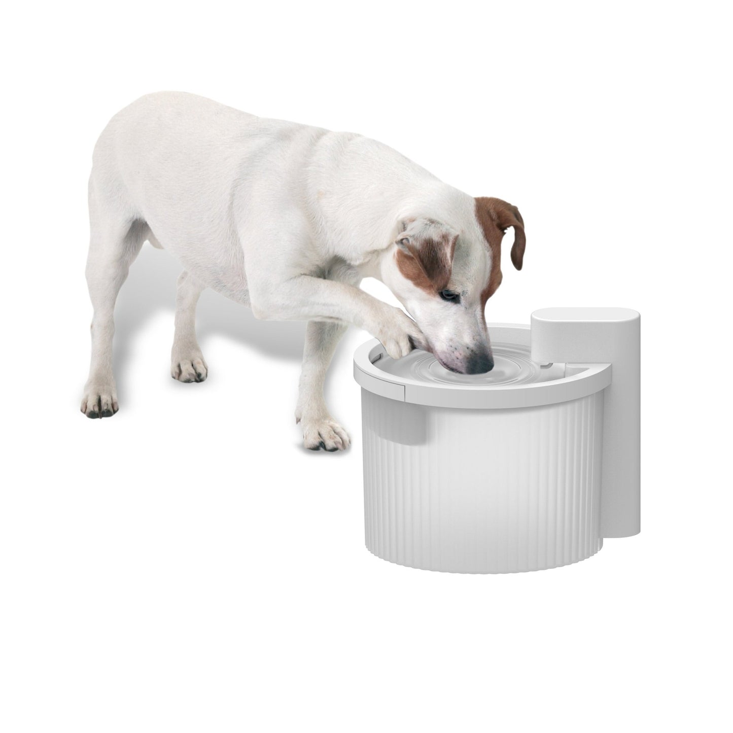 AFP Lifestyle 4 Pets Wireless Fountain - All For Animals