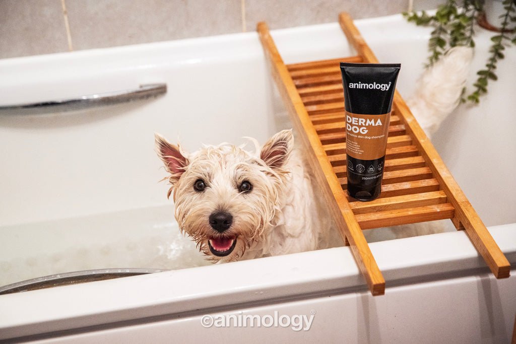 Animology Derma Dog Sensitive Skin Dog Shampoo 250 ml - All For Animals