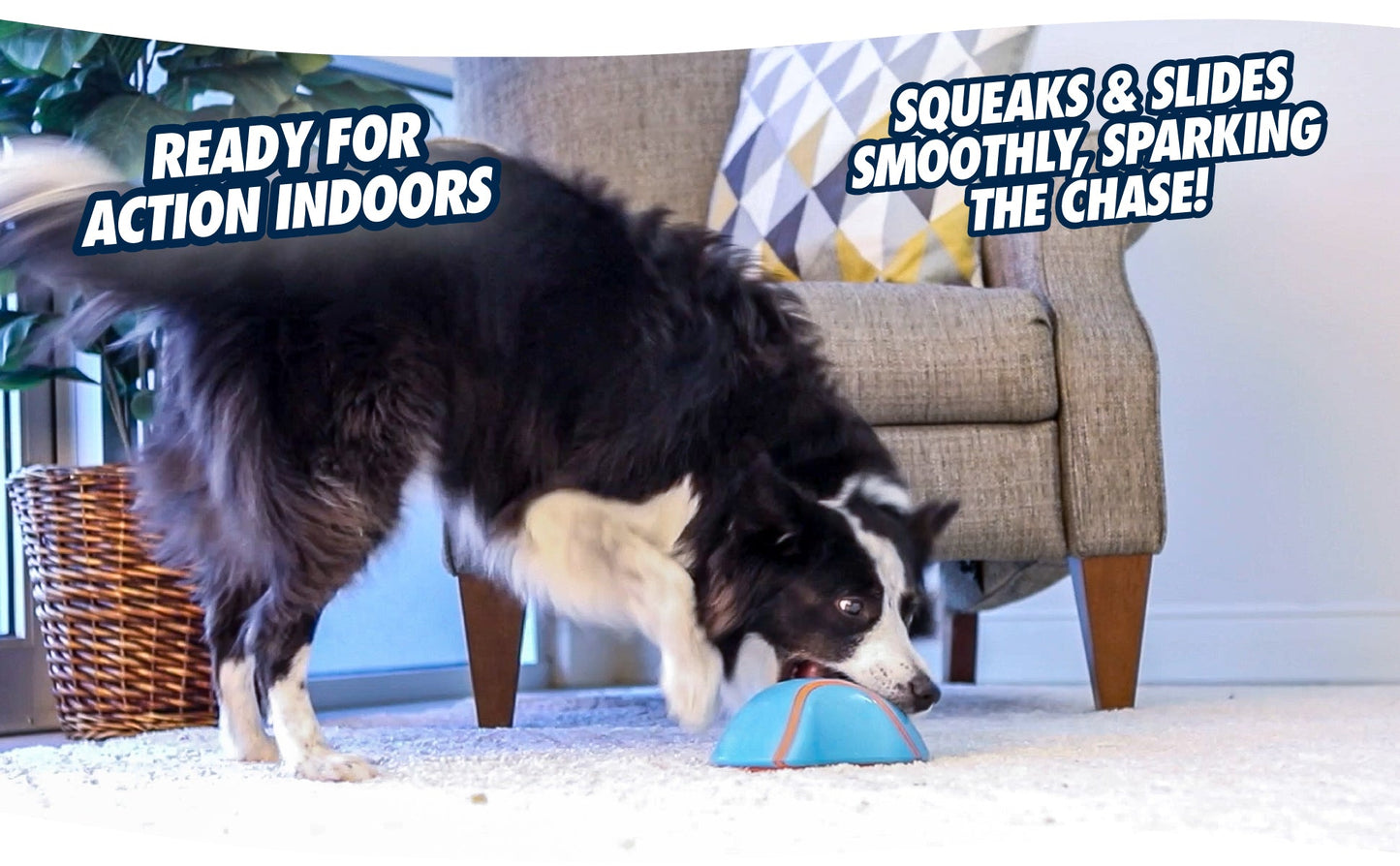 Chuckit! Indoor Super Slider - all for animals