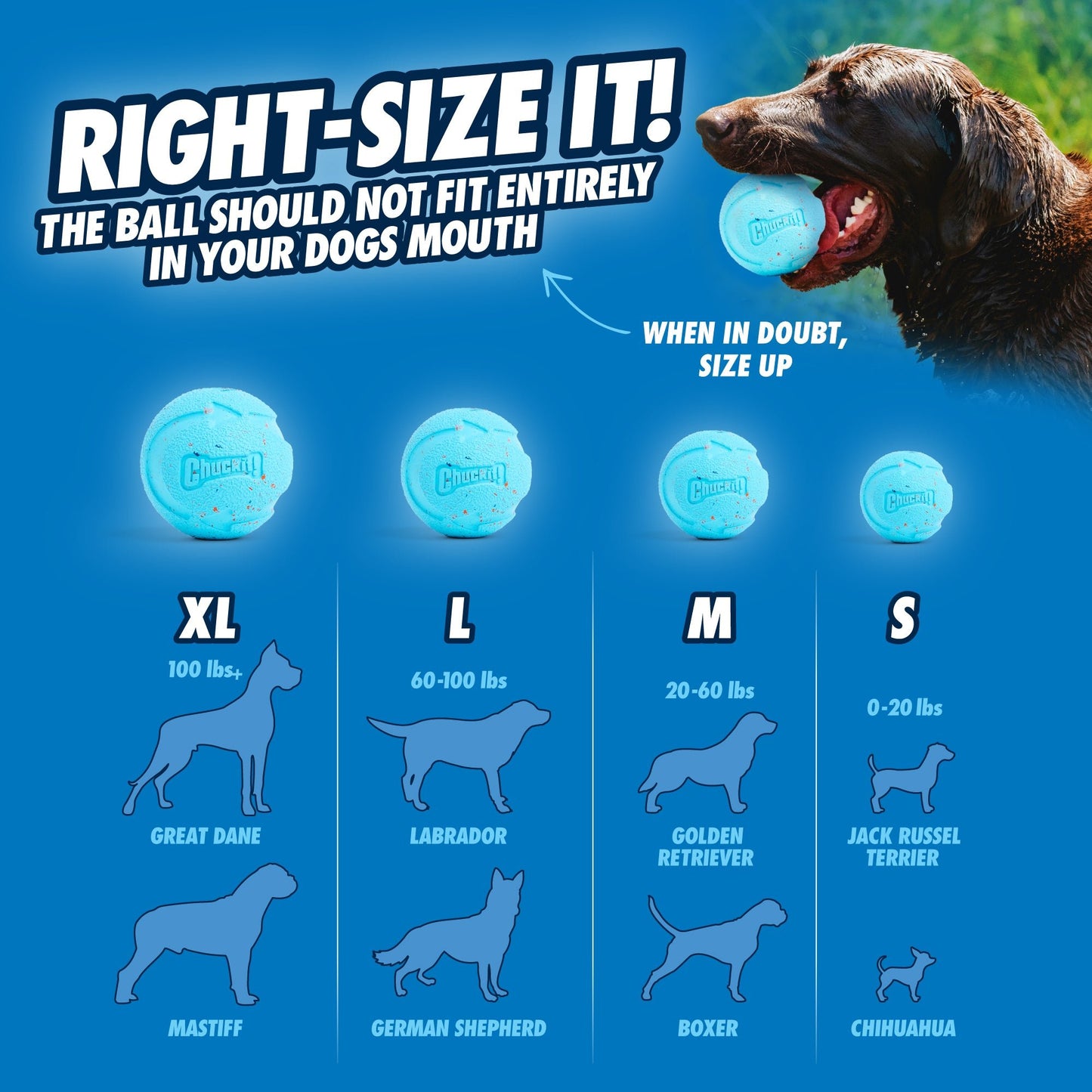 Chuckit! Rebounce Fetch Ball M (2 - pack) - all for animals