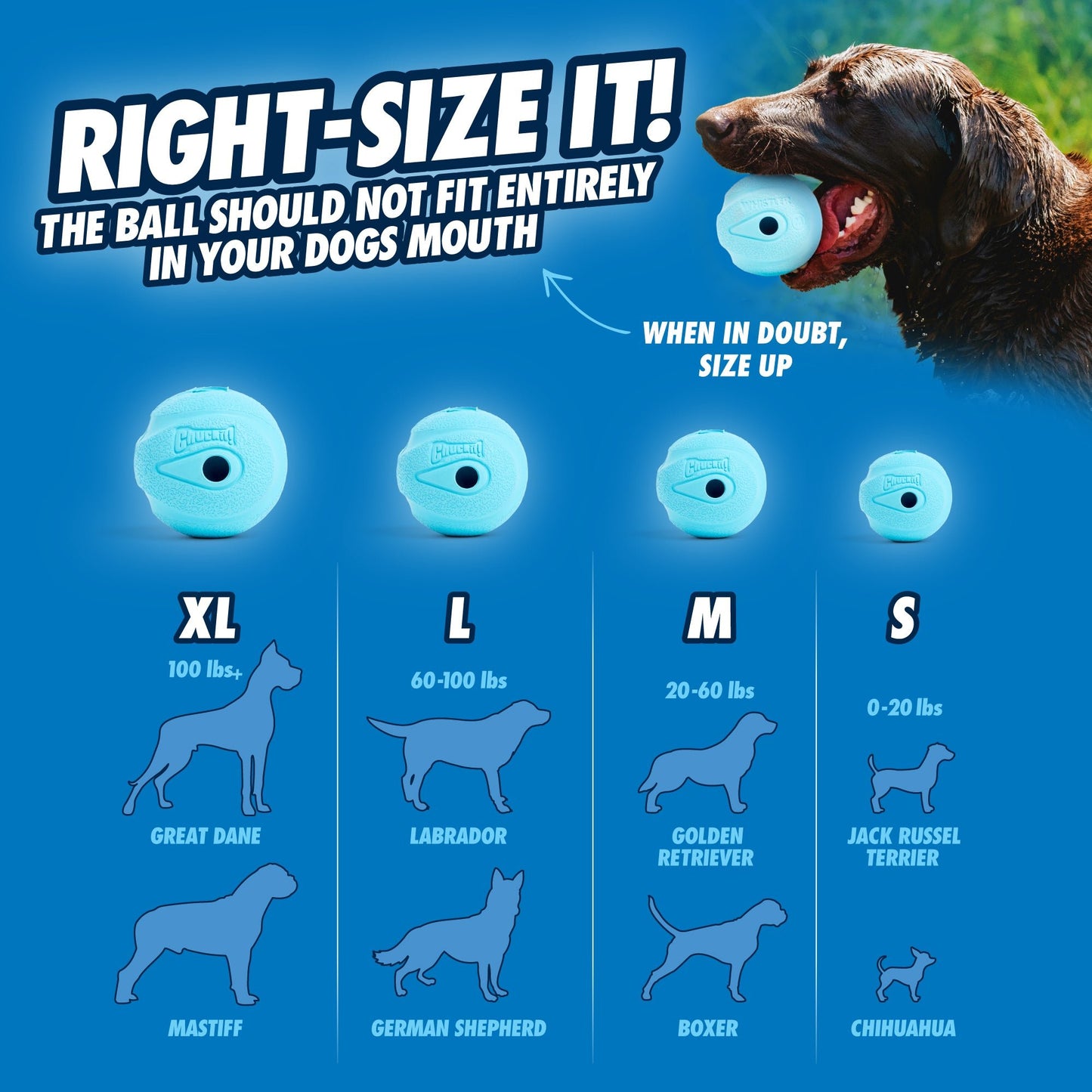 Chuckit! The Whistler S (2 - pack) - all for animals