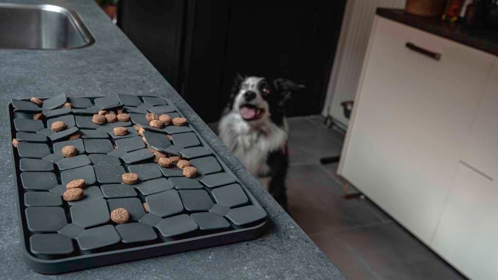 Eat Slow Live Longer Lick Mat Dimensions Flower - all for animals