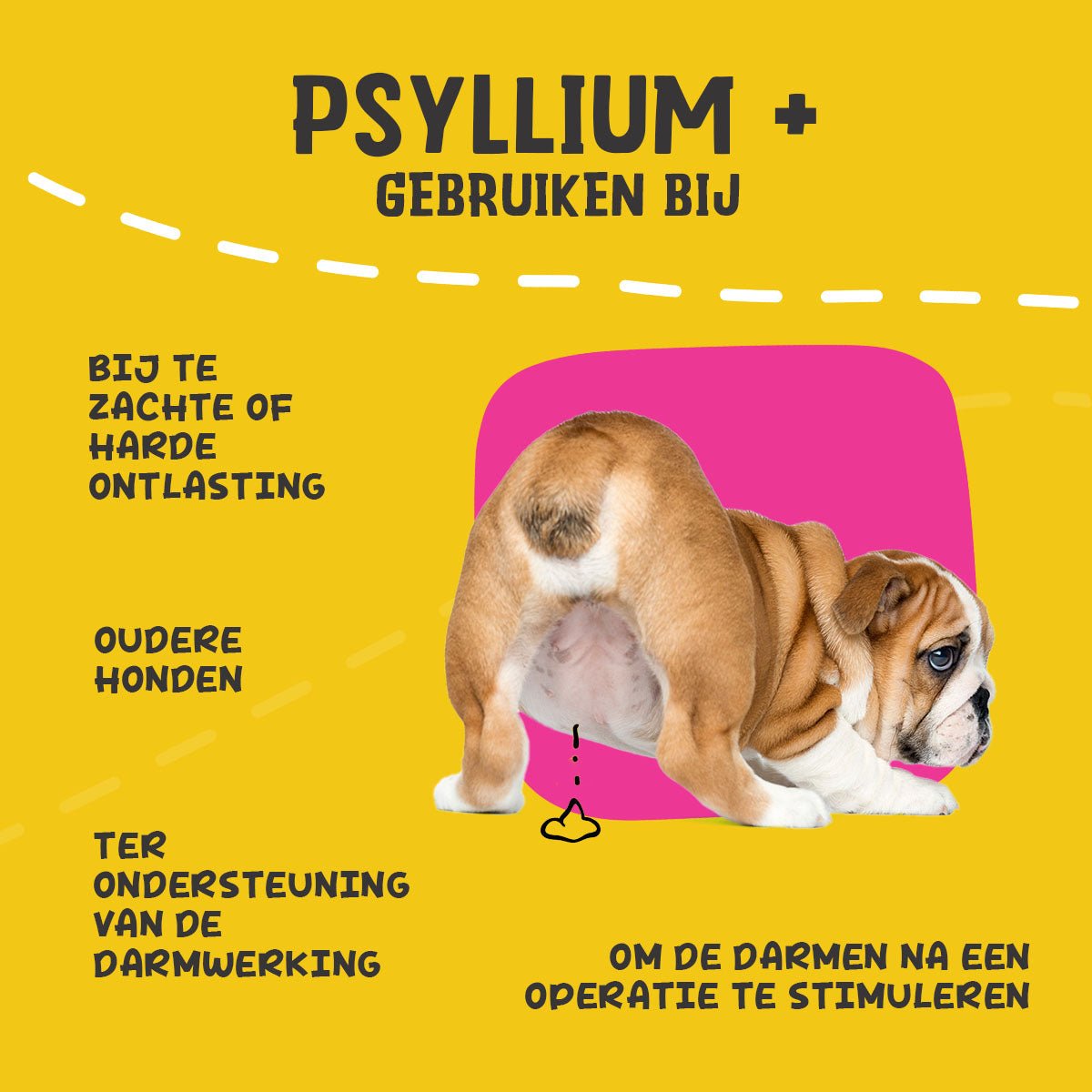 Excellent Pets Dog Psyllium+ 100 g - all for animals