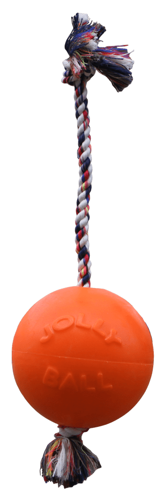 Jolly Romp - n - Roll Vanille L (20 cm) - all for animals