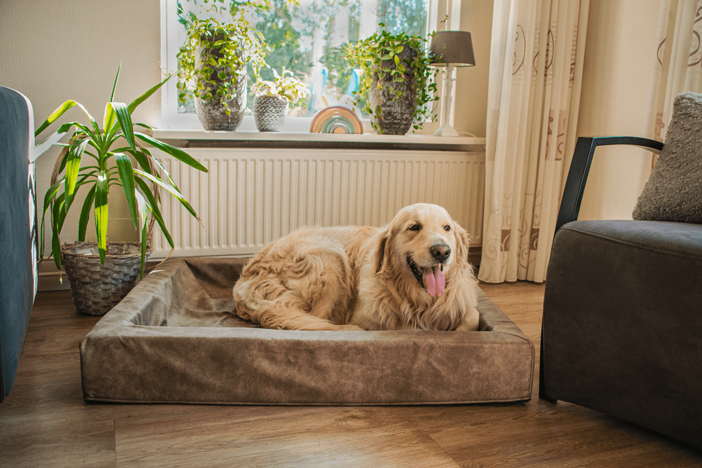 Let's Sleep Comfy Cushion Hondenmand L - all for animals