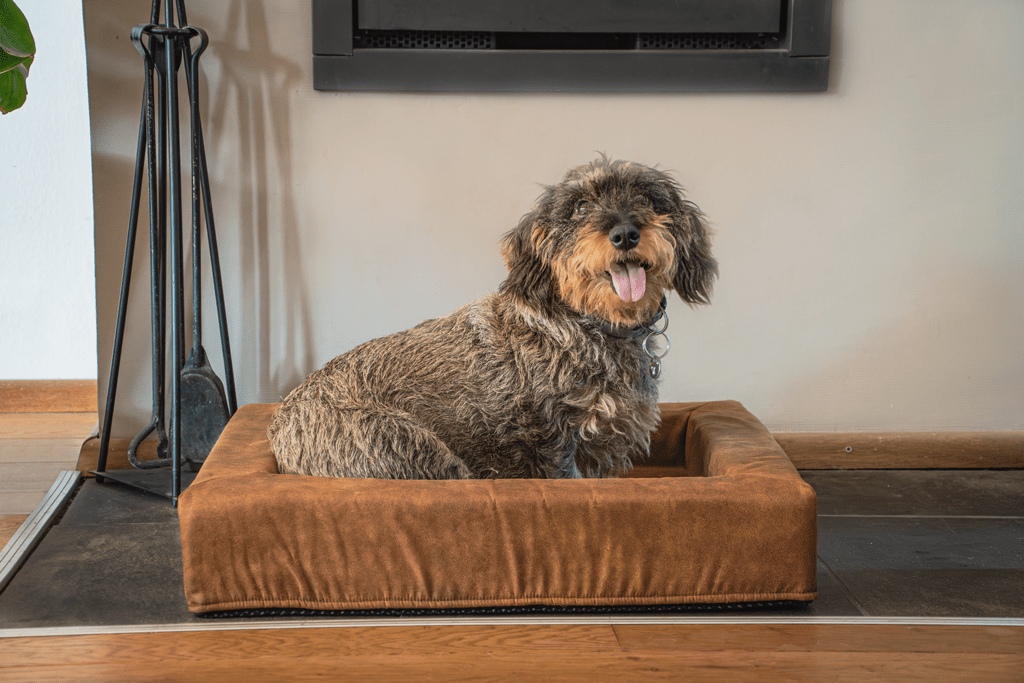 Let's Sleep Comfy Cushion Hondenmand L Cognac - all for animals
