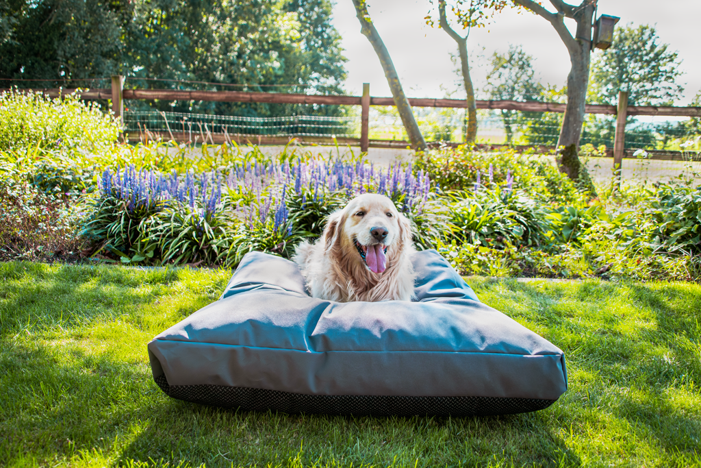Let's Sleep Cushy Cloud Hondenkussen Buiten M Antraciet - all for animals