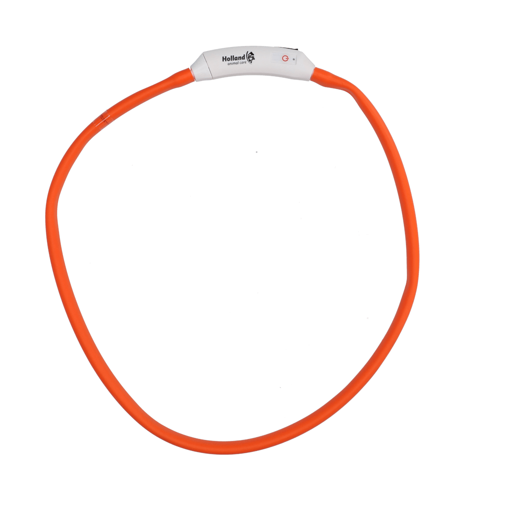 Nightwalk Safety Collar Oranje - all for animals