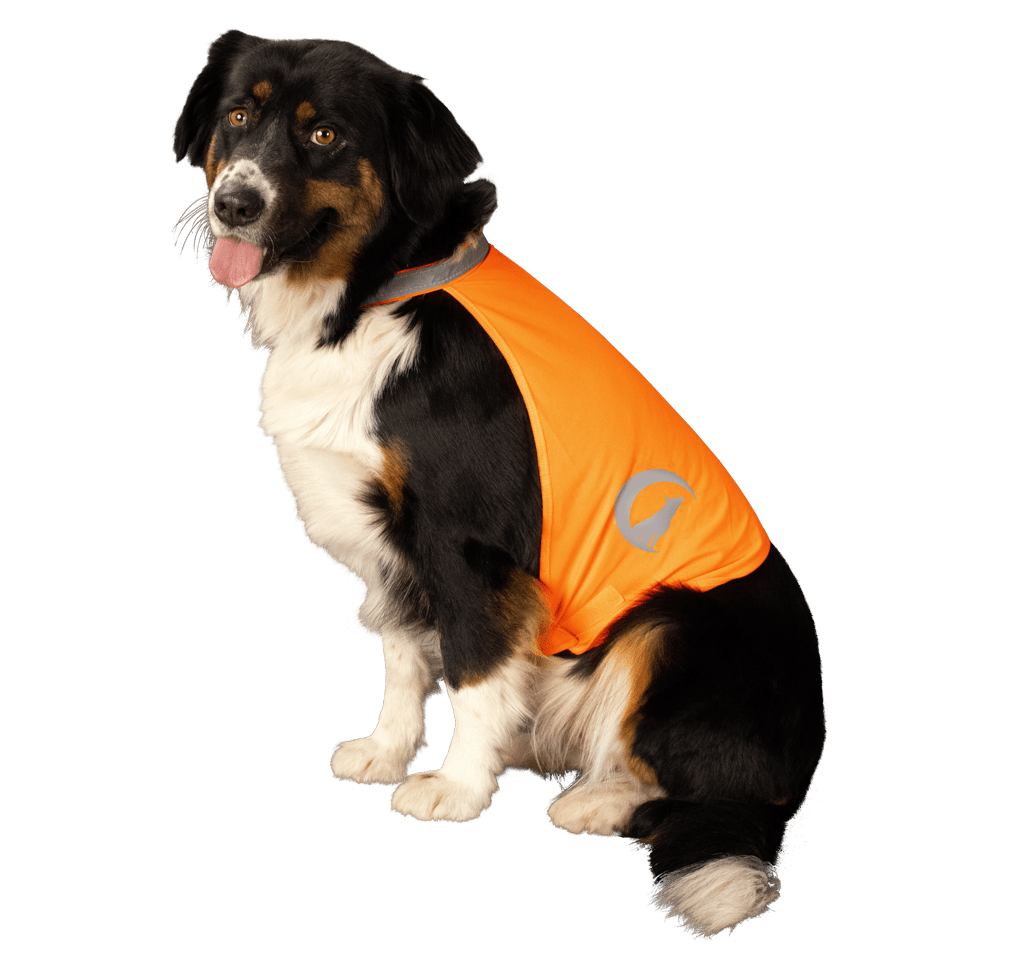 Nightwalk Safety Vest Oranje - all for animals