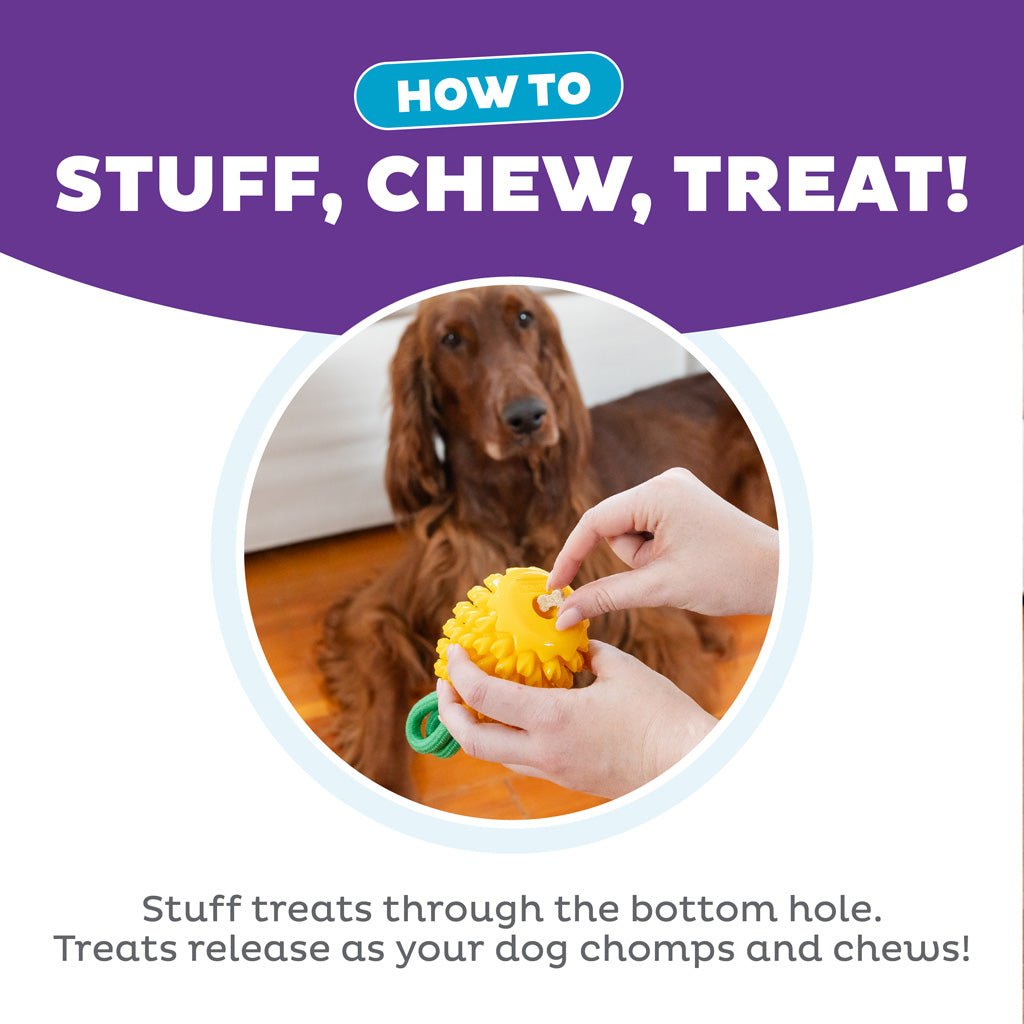 Outward Hound Dental Pineapple - all for animals