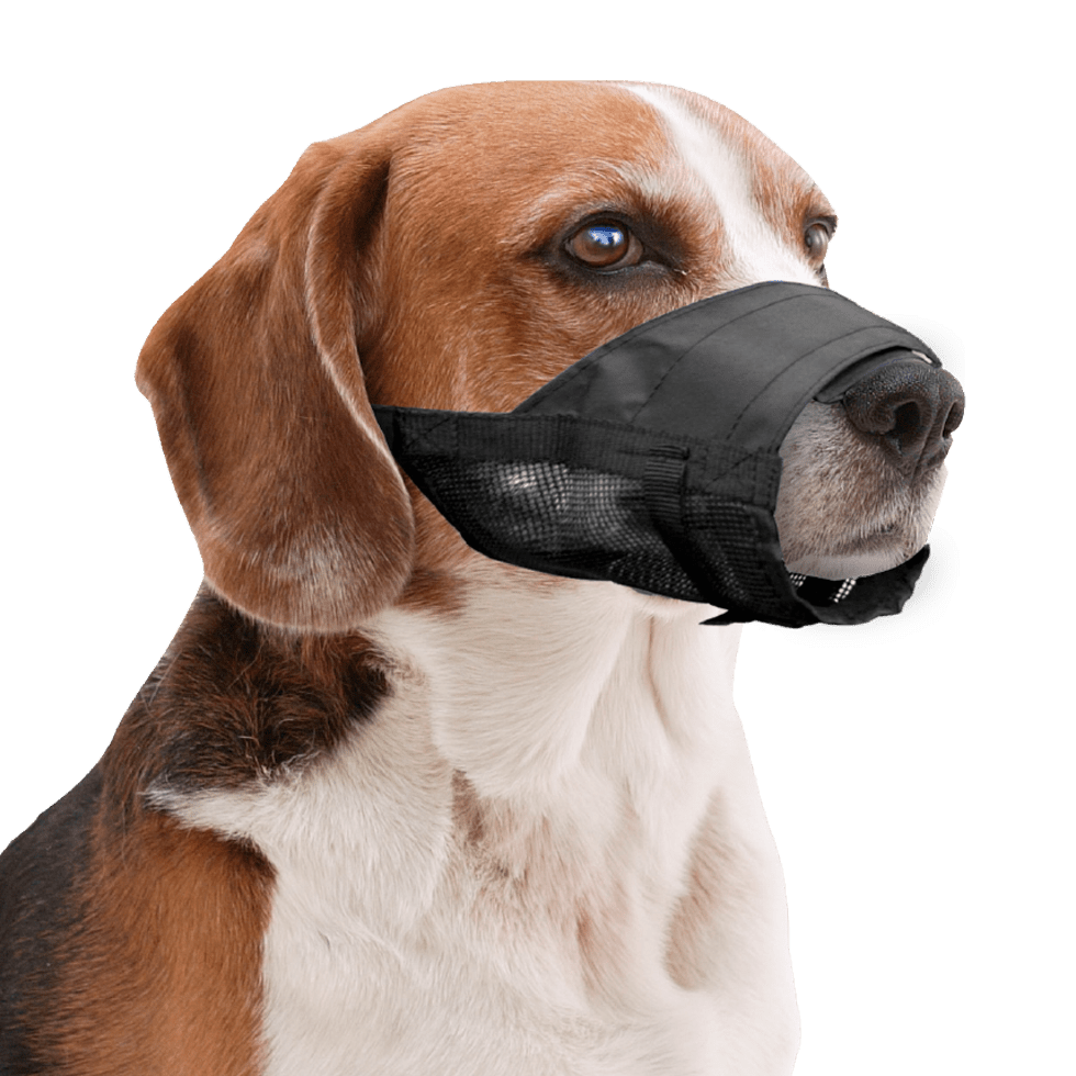 Pawise Adjustable Nylon Muzzle - all for animals