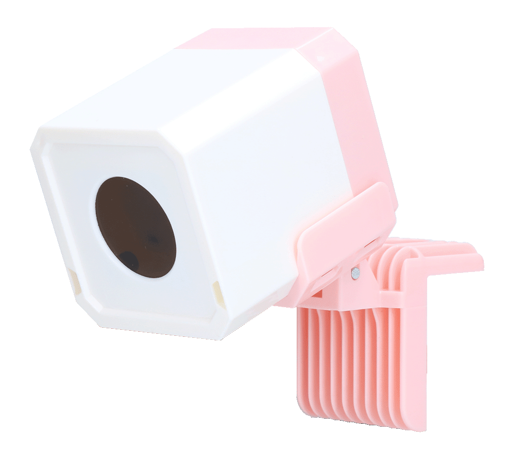 Pawise Automatic Laser toy - all for animals