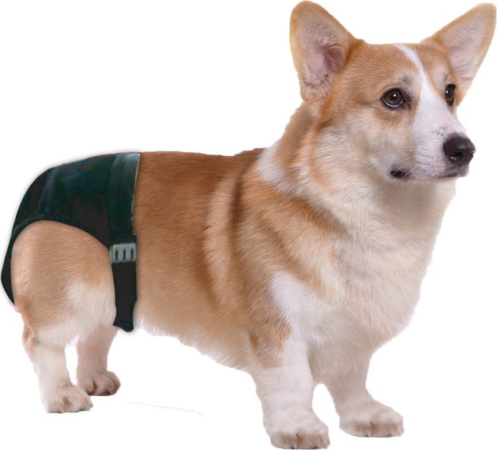 Pawise Sanitary Pants - all for animals