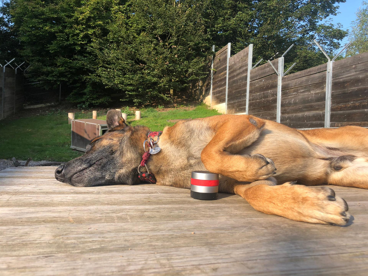 RelaxoPet PRO Hond - all for animals