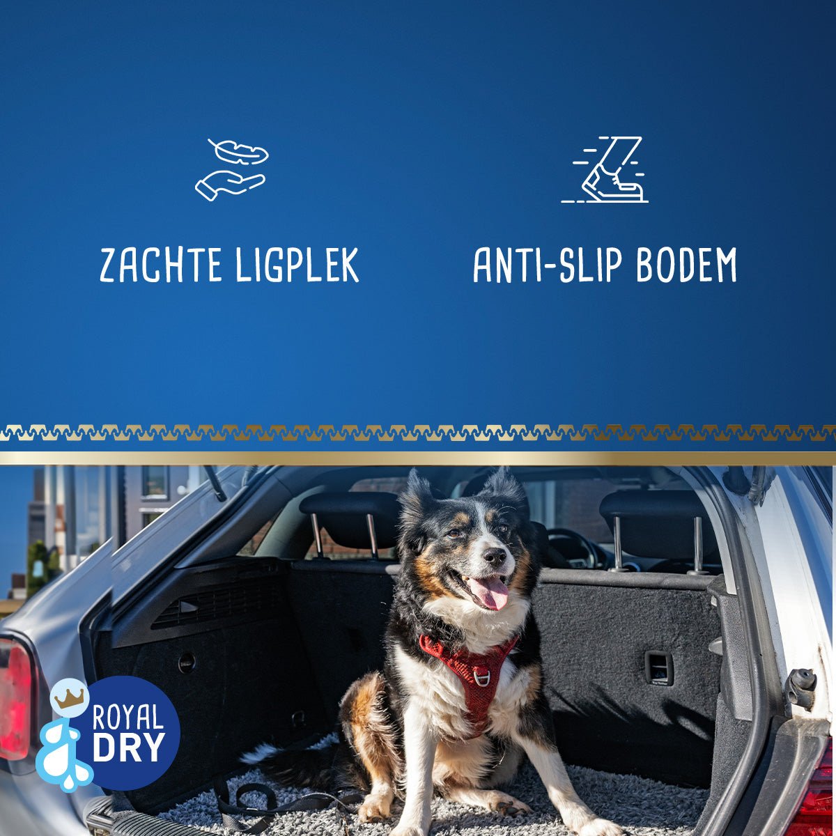 Royal Dry Knoeimat Voor Honden En Katten - all for animals
