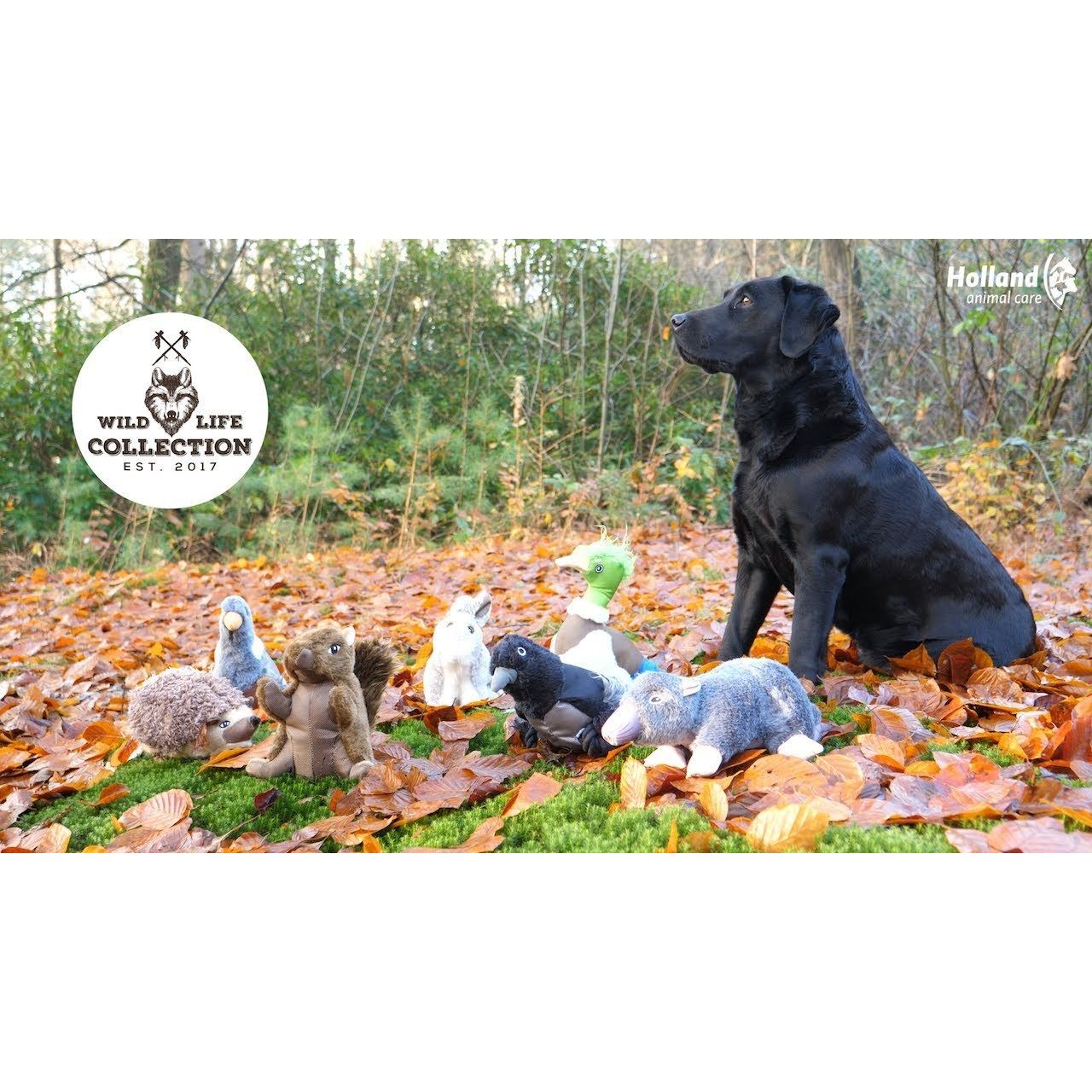 Wild Life Dog Eend - all for animals
