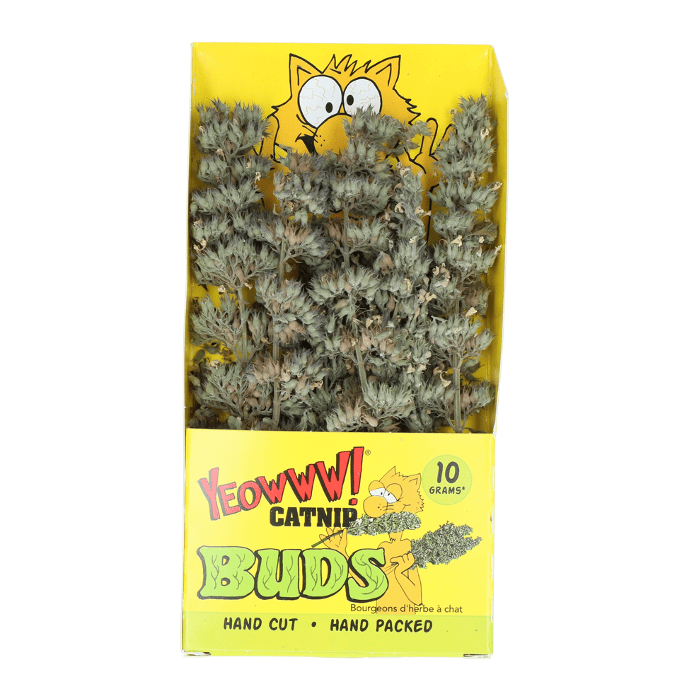 Yeowww! Catnip Buds - all for animals