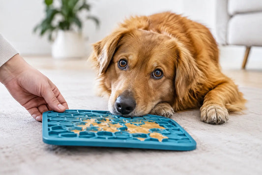 Beste likmatten voor angstige honden kiezen