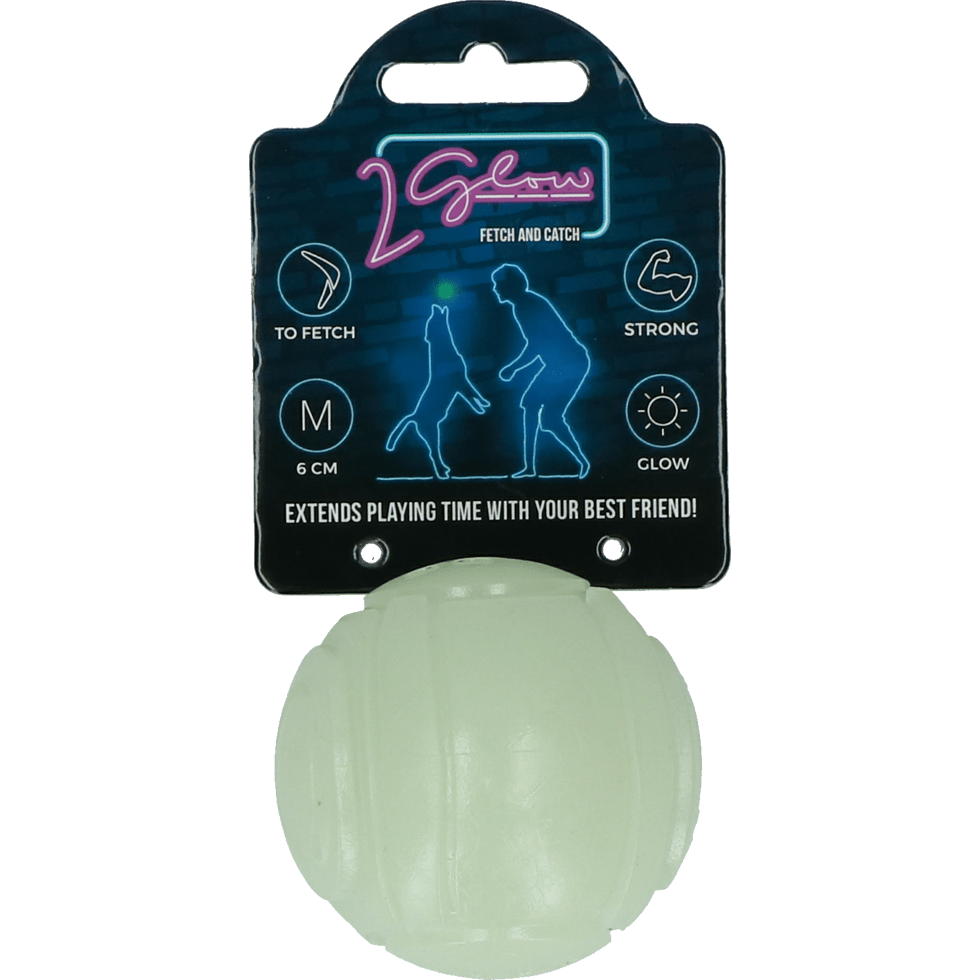 2 Glow Fetch & Play - All For Animals