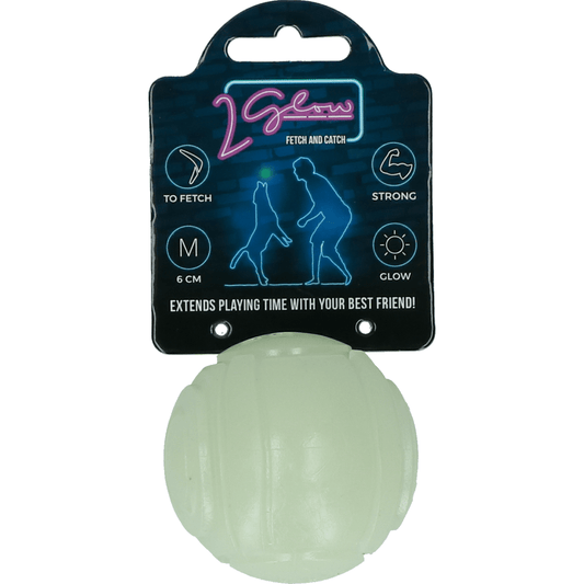 2 Glow Fetch & Play - All For Animals