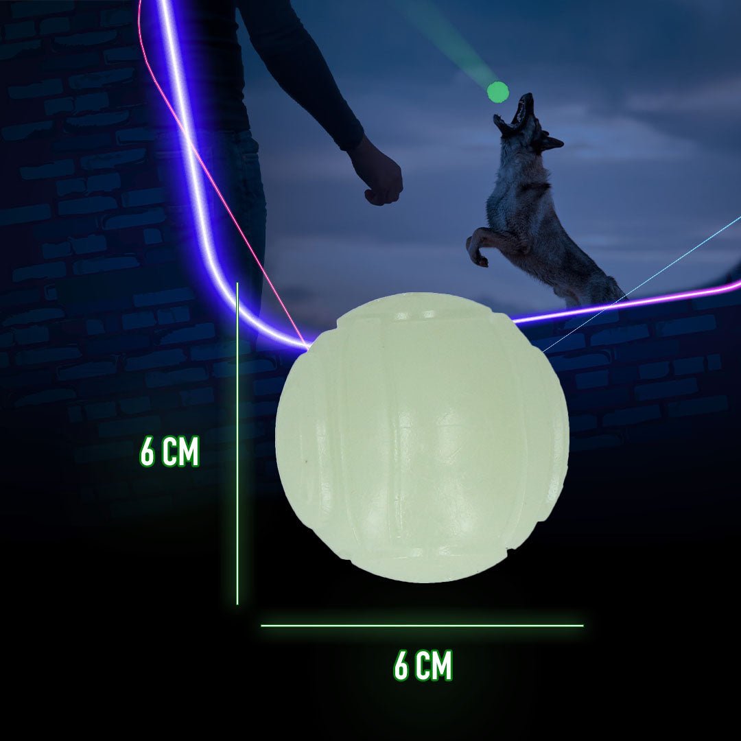 2 Glow Fetch & Play - All For Animals