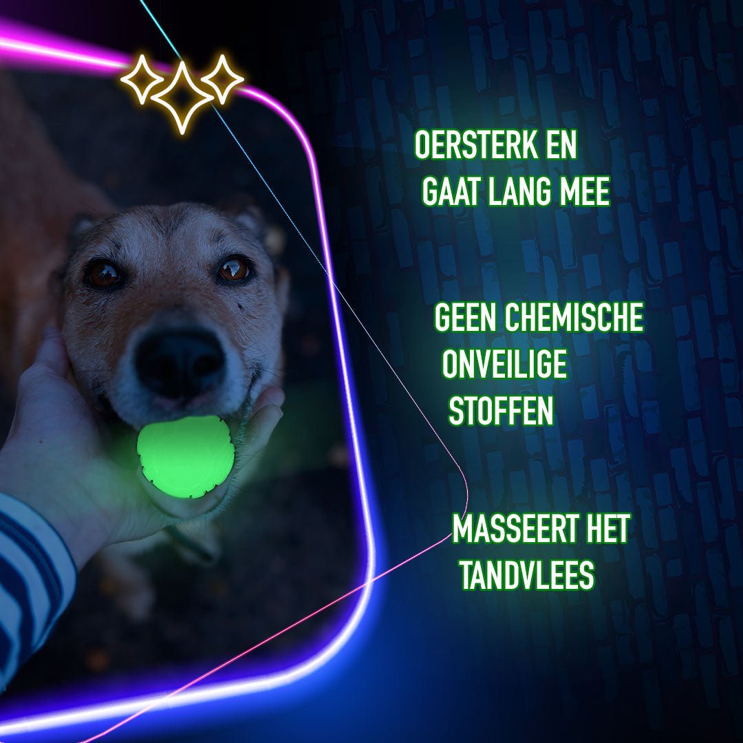 2 Glow Fetch & Play - All For Animals