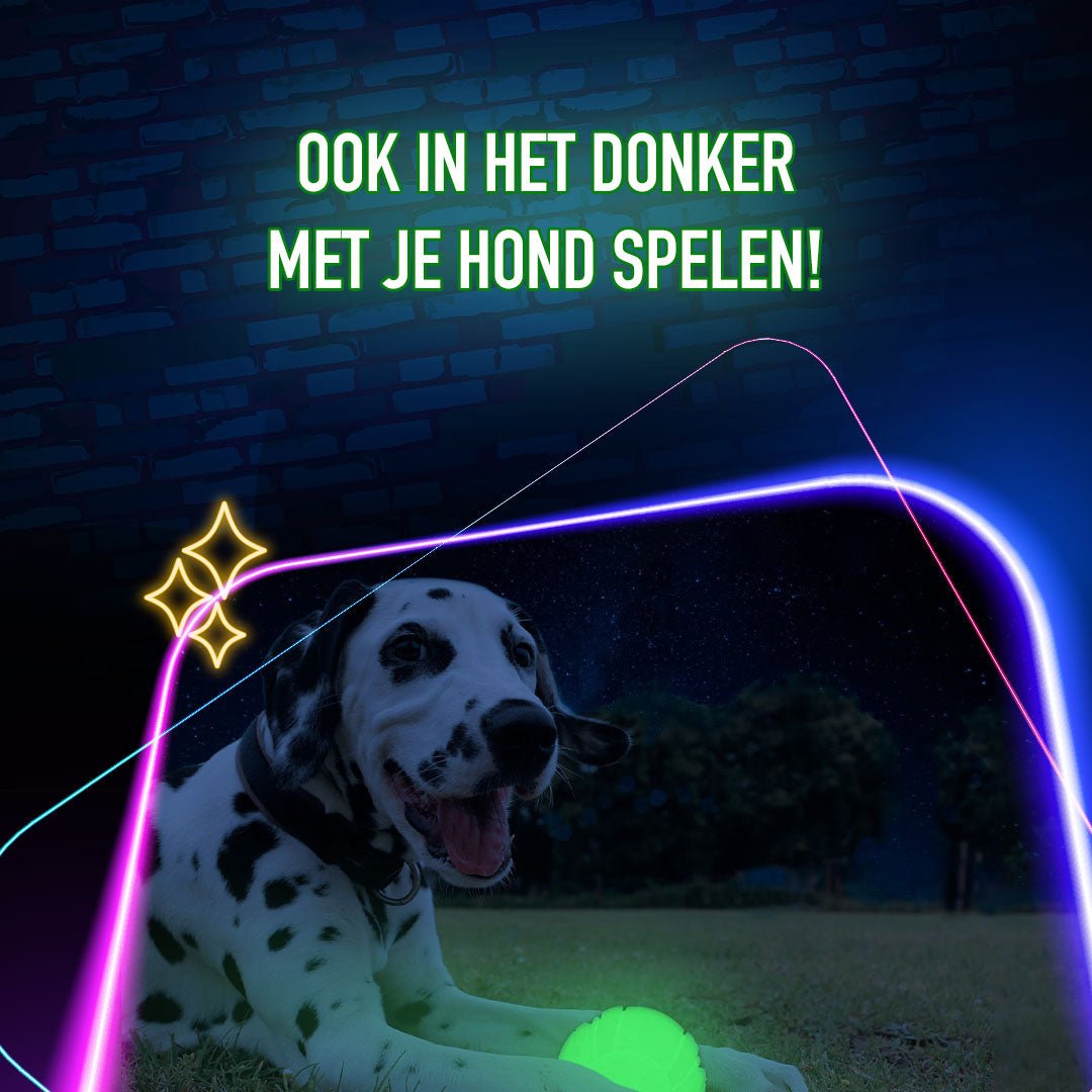 2 Glow Fetch & Play - All For Animals
