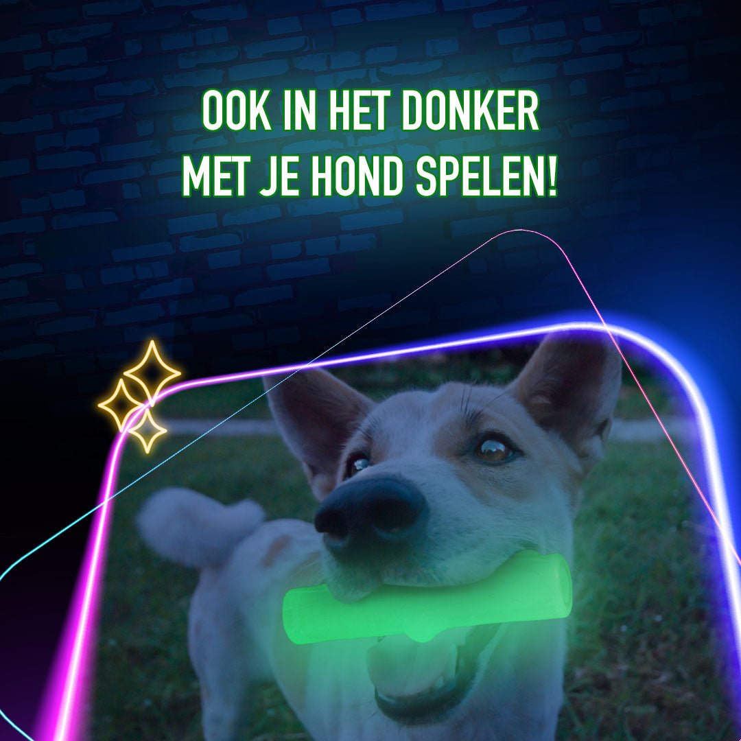 2 Glow Treat Bone of it's Own - All For Animals
