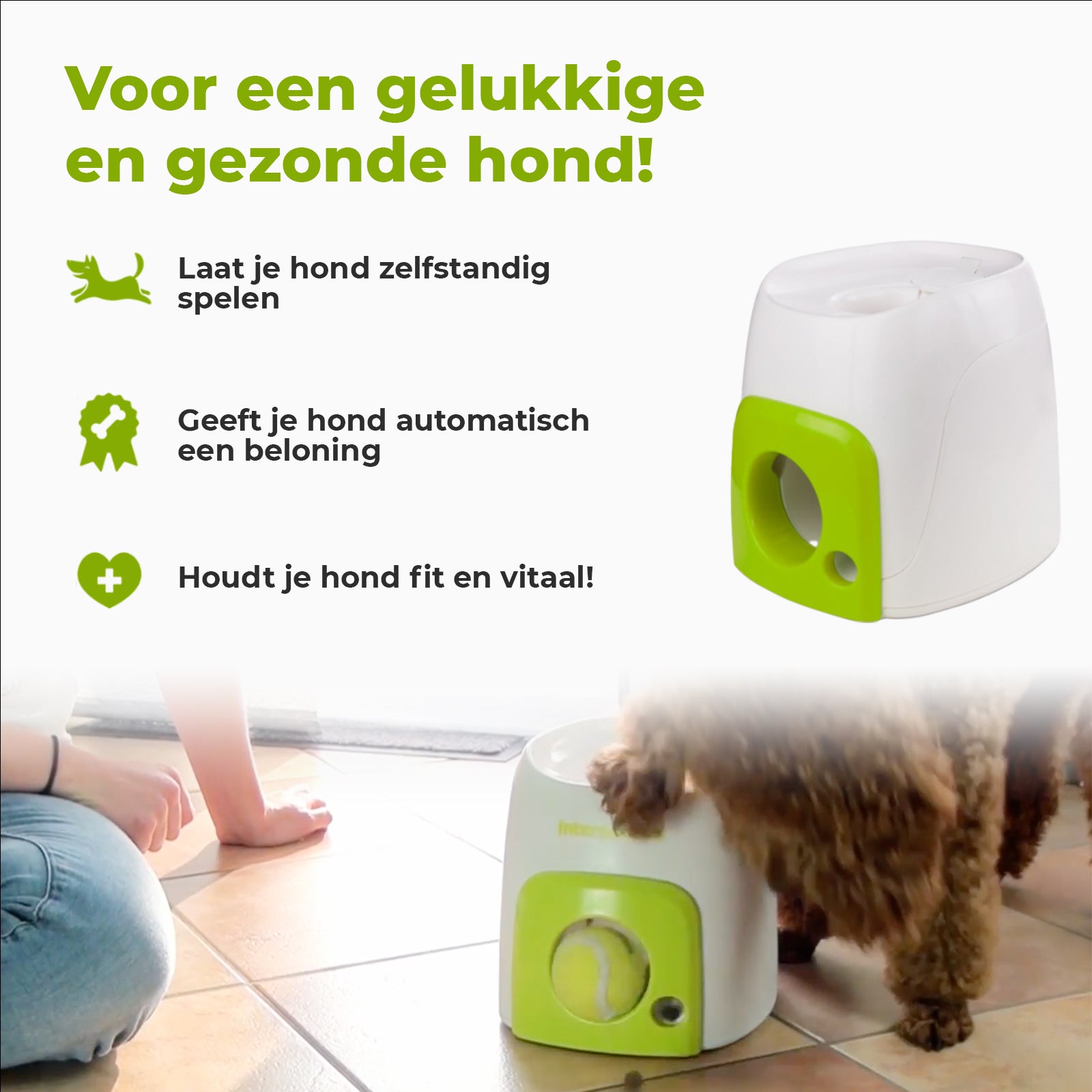 AFP Interactives Fetch'N'Treat Original