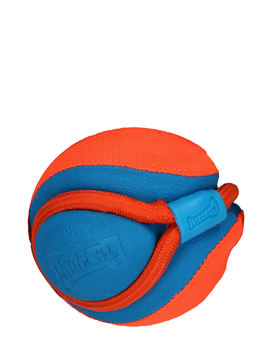 Chuckit! RingChaser Launcher - transparante productafbeelding