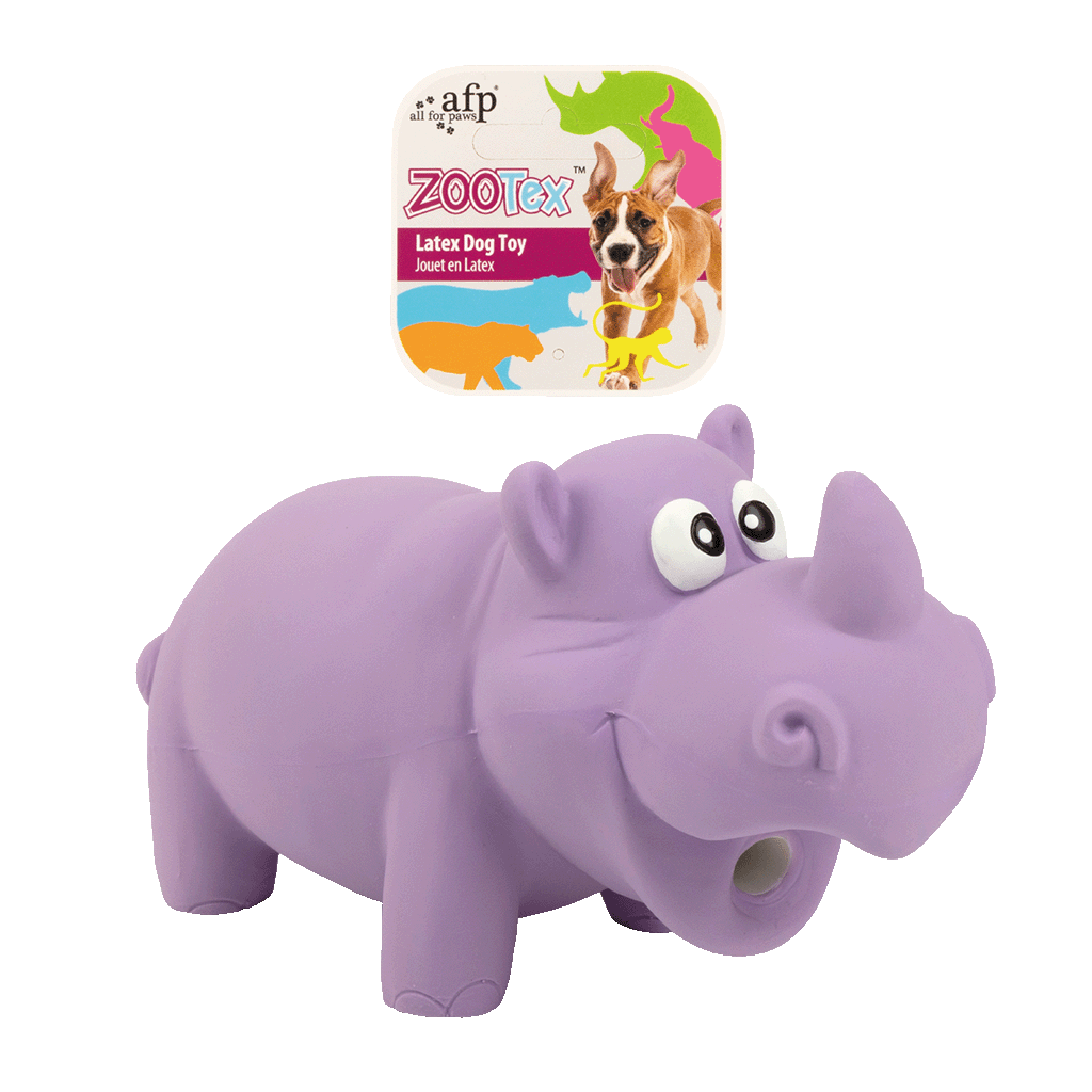 AFP ZooTex Reginald the Rhino