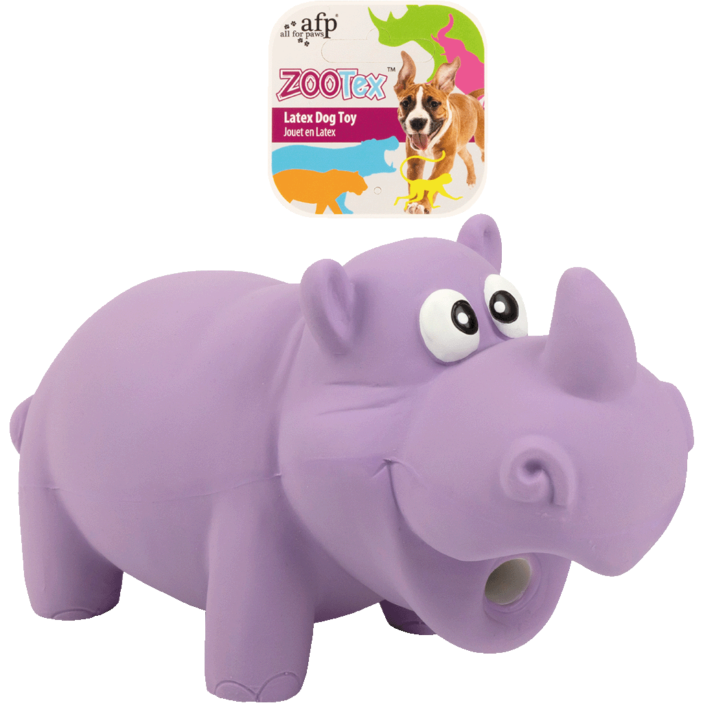 AFP ZooTex Reginald the Rhino