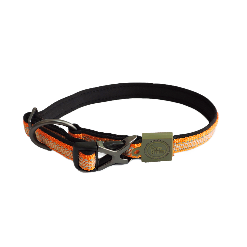 AFP Off Street - Dog Collar Mandarijn