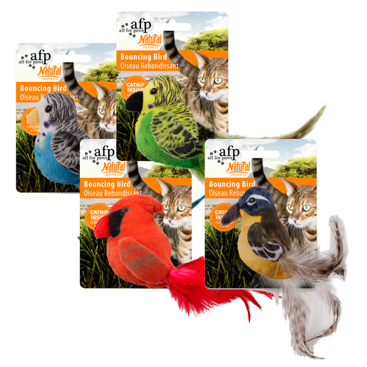 AFP Natural Instincts - Bouncing Bird