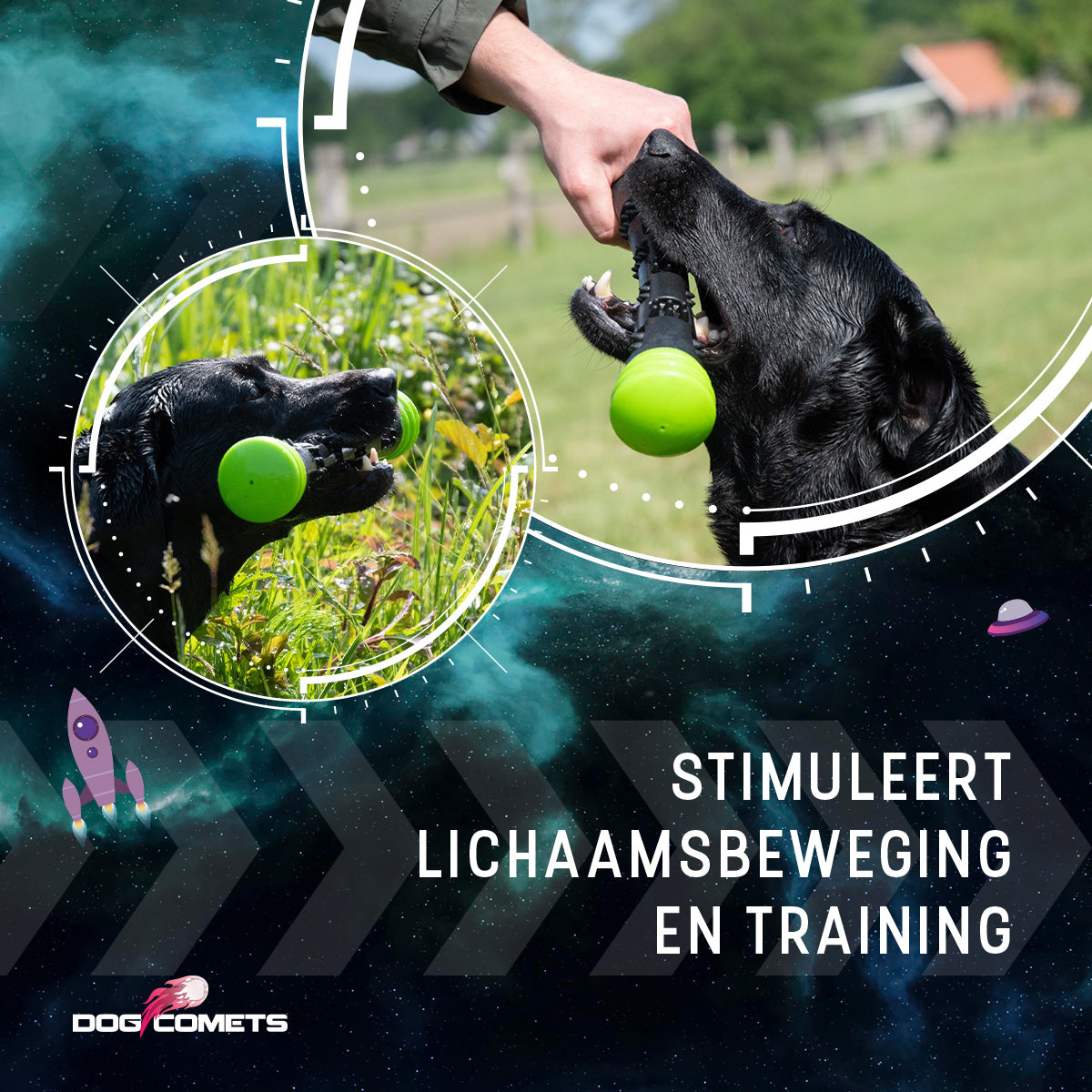 Dog Comets Meteor Werpstok Groen