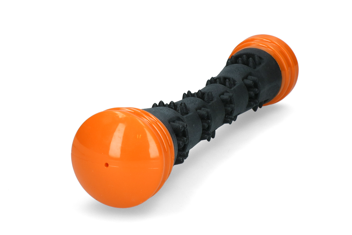 Dog Comets Meteor Werpstok Oranje