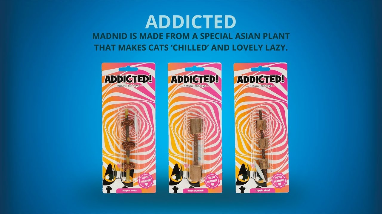 Addicted! Mice with Feathers