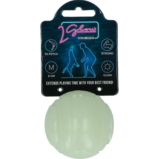 2 Glow Fetch & Play