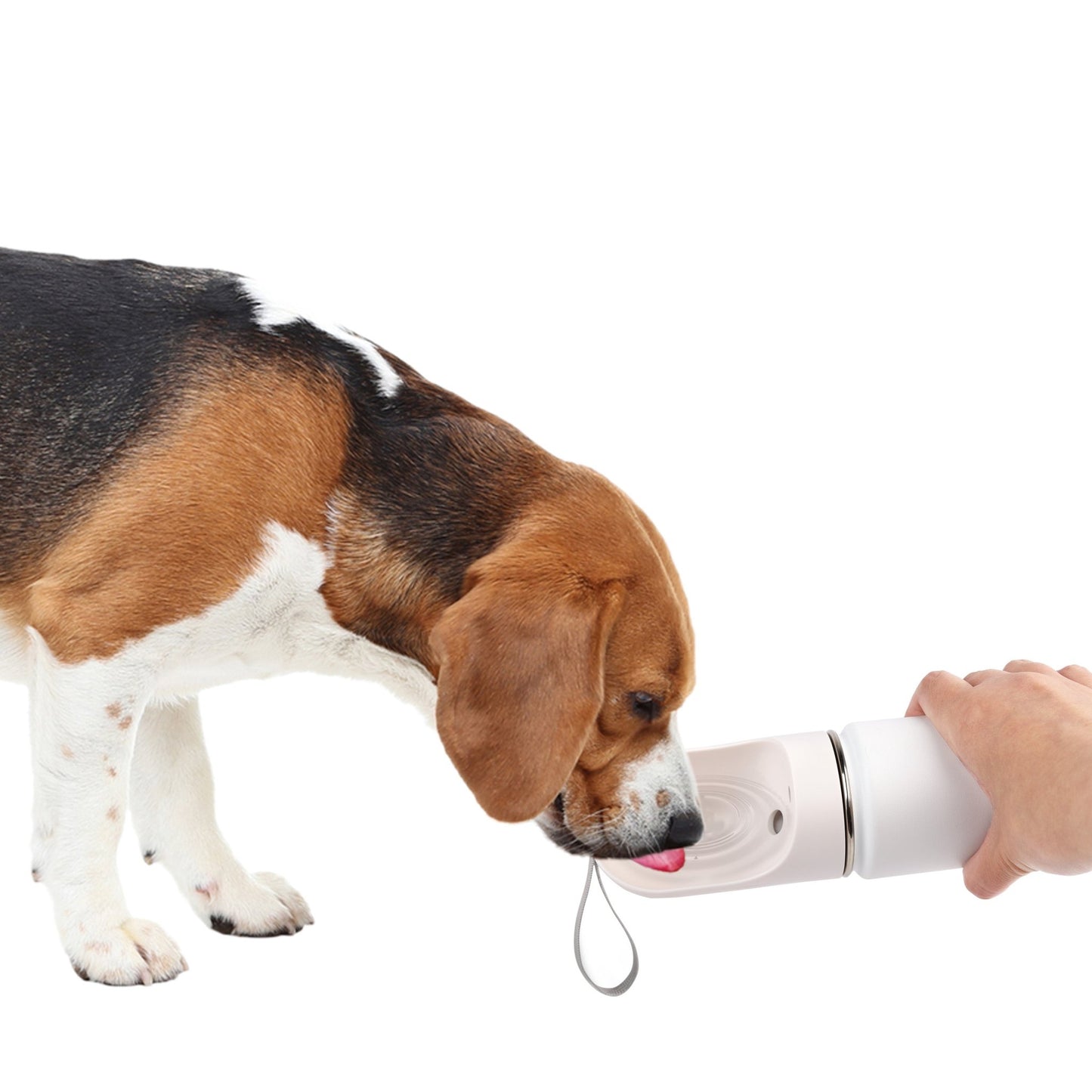 AFP 2 In 1 Stainless Drinking Bottle - All For Animals
