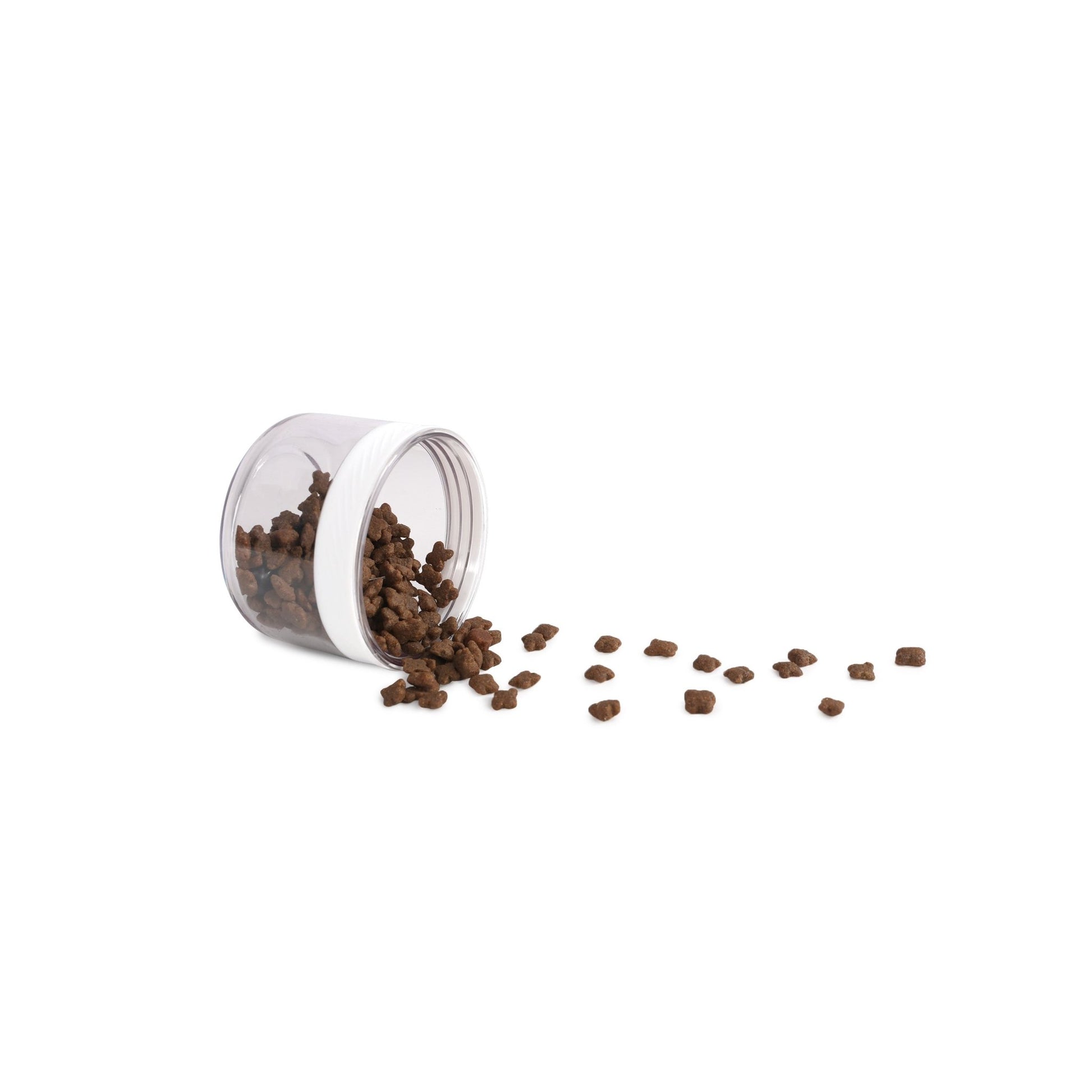 AFP 2 In 1 Stainless Drinking Bottle - All For Animals