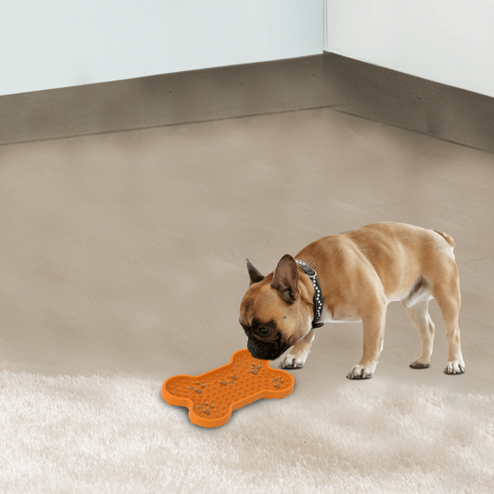 AFP Bone Appetit - Tasty Bone Lick Mat - All For Animals