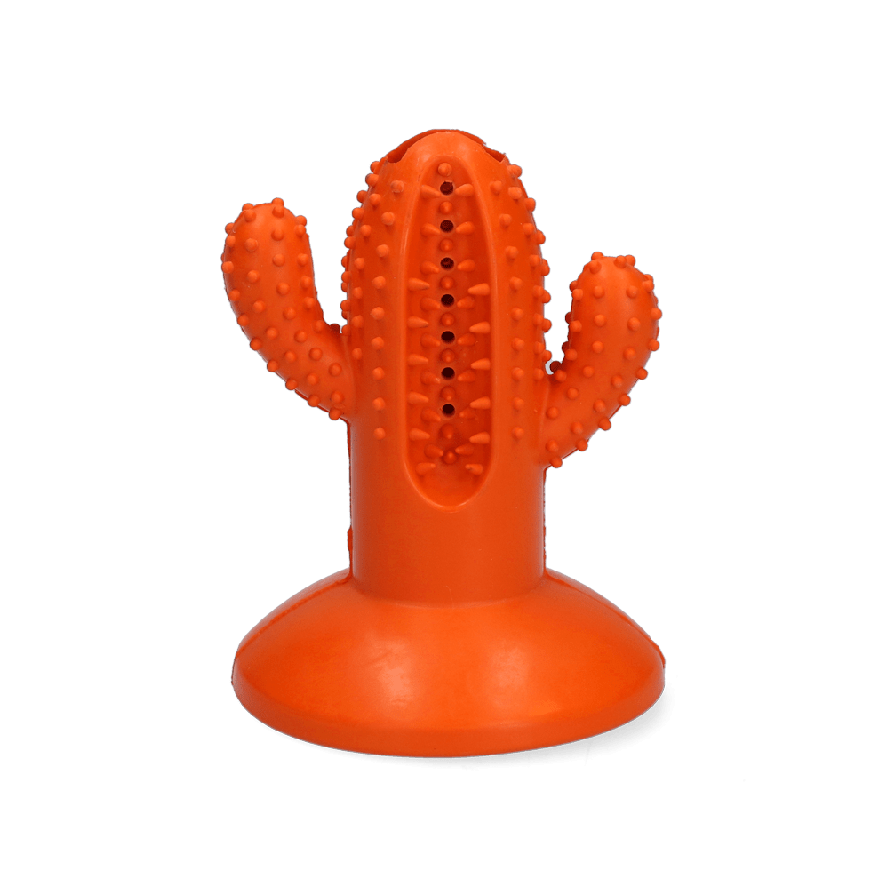 AFP Dental Chews - Dental Cactus M Oranje - All For Animals
