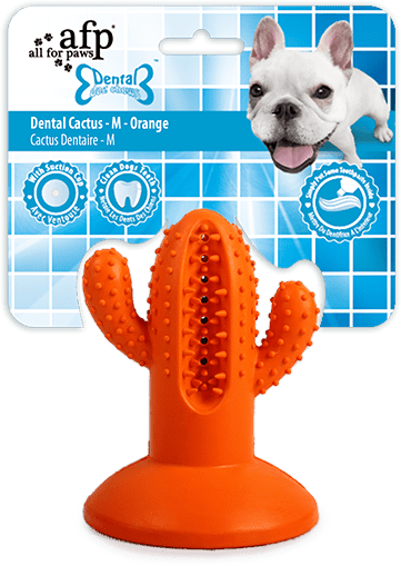 AFP Dental Chews - Dental Cactus M Oranje - All For Animals
