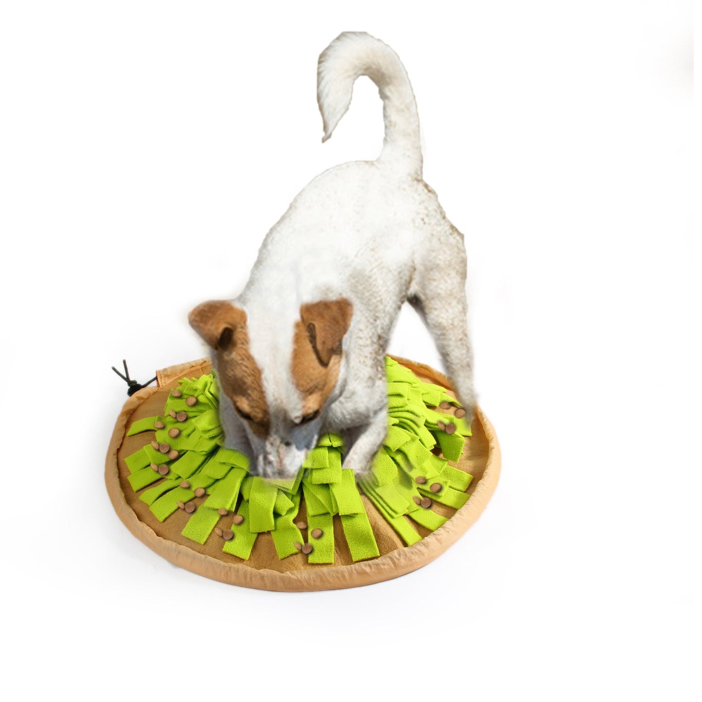 AFP Dig It - Foldable Treat Mat - All For Animals