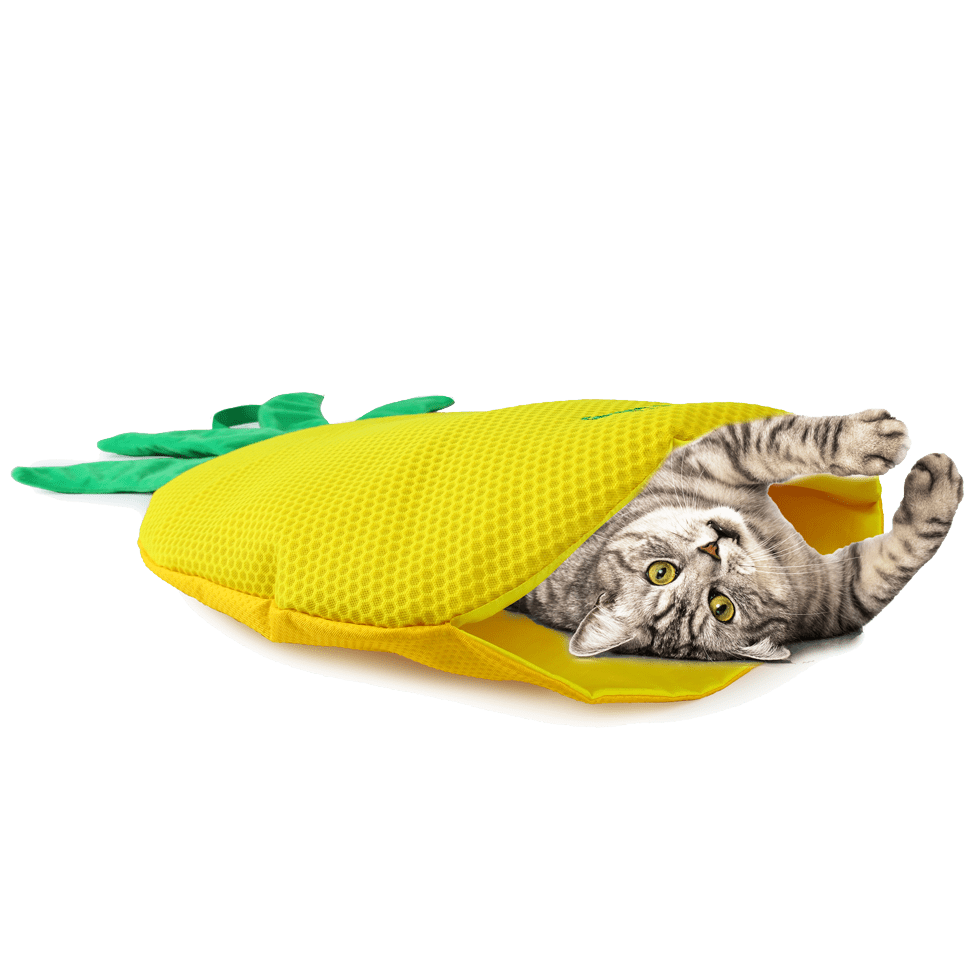 AFP Green Rush - Play Mat Ananas - All For Animals