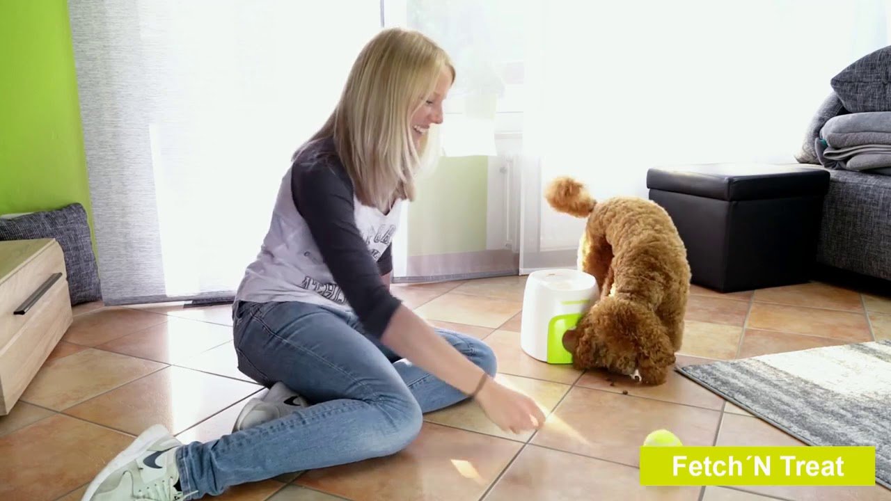 AFP Interactives Fetch'N'Treat Original - All For Animals