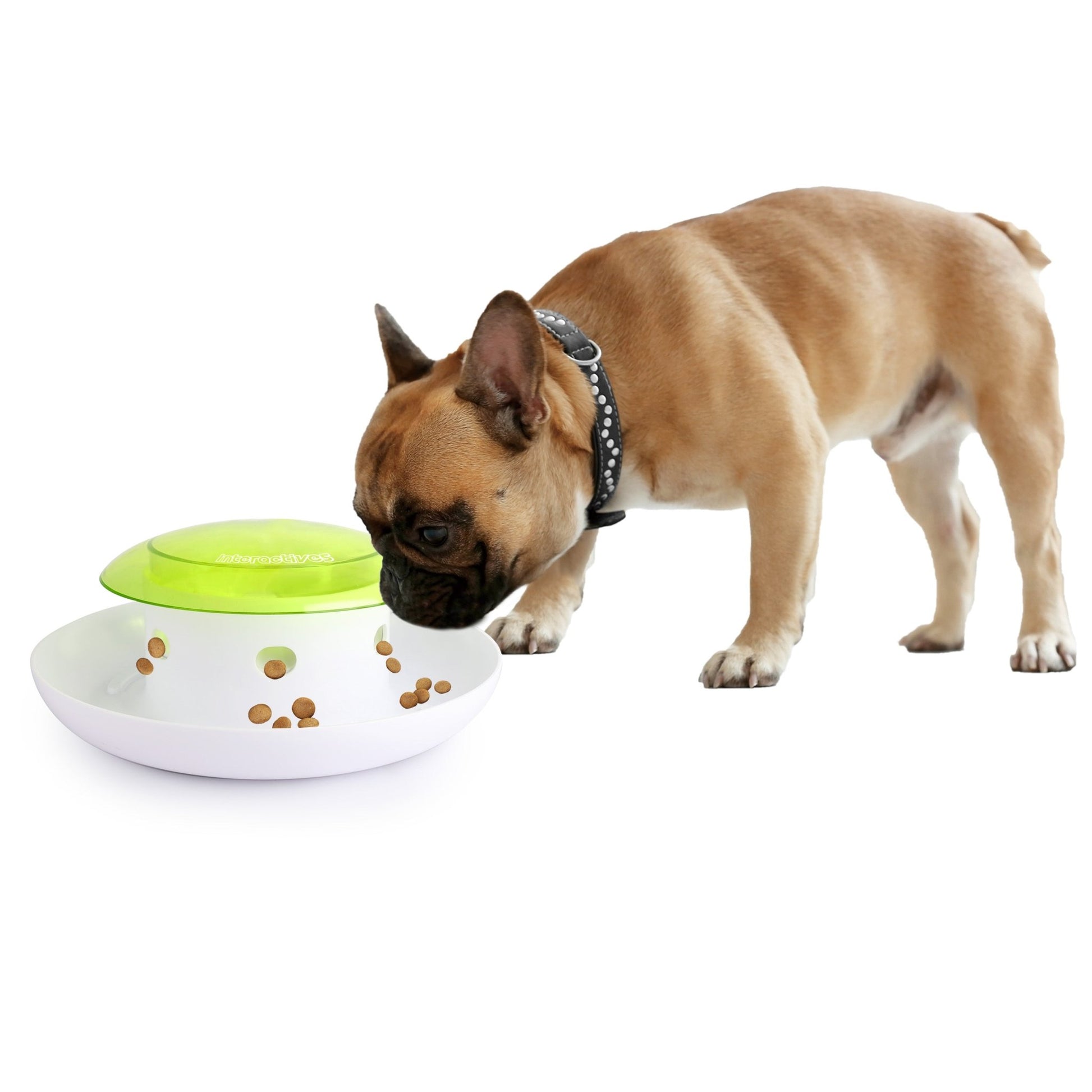 AFP Interactives Push 4 Meal Dispener - All For Animals