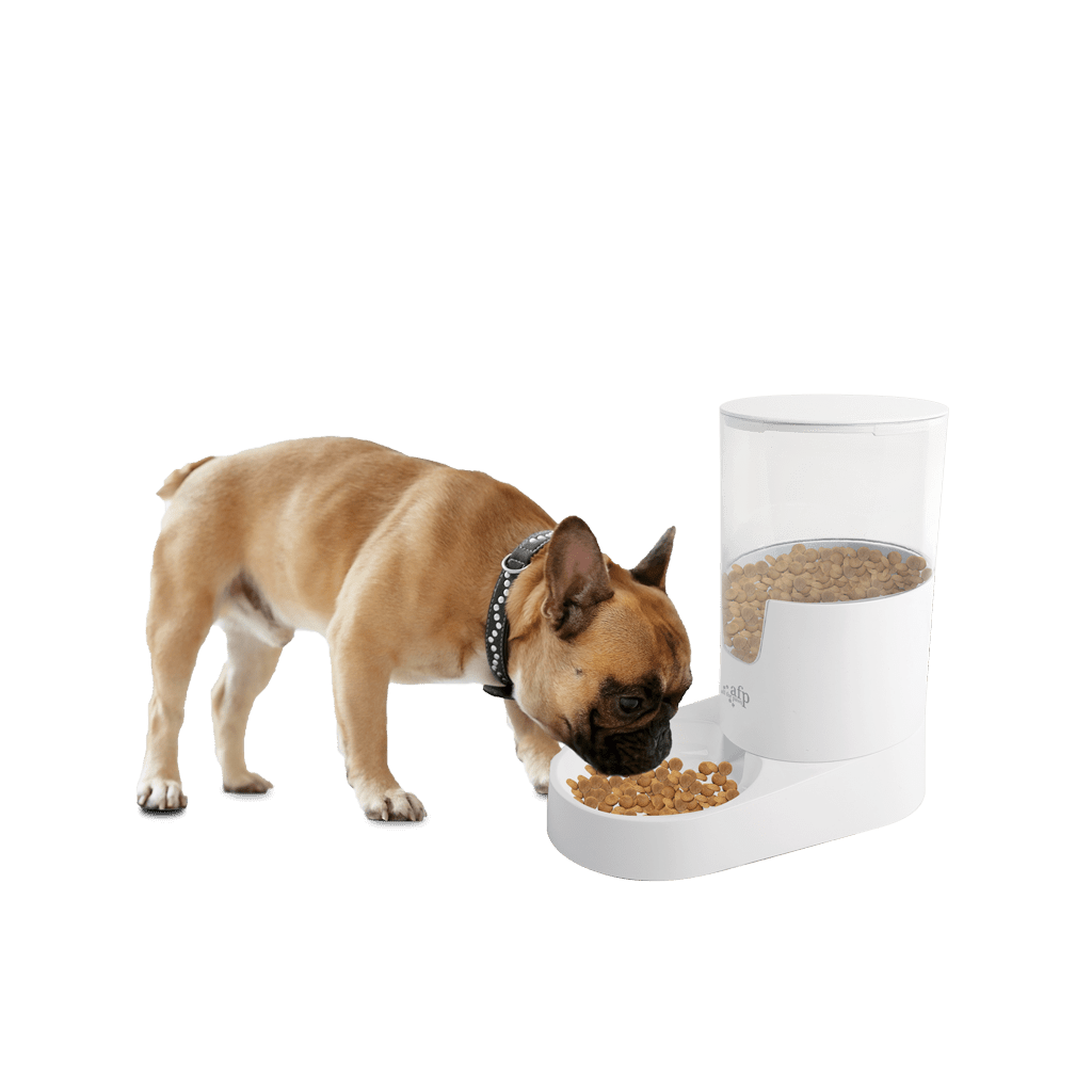 AFP Lifestyle 4 Pets Gravity Pet Food Feeder - All For Animals